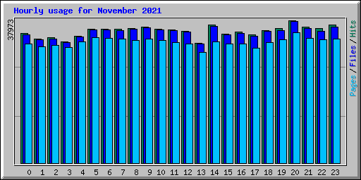 Hourly usage for November 2021