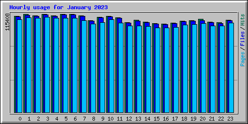 Hourly usage for January 2023