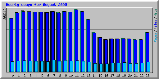 Hourly usage for August 2025