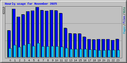 Hourly usage for November 2025