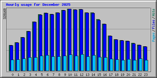 Hourly usage for December 2025