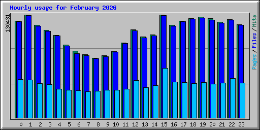 Hourly usage for February 2026